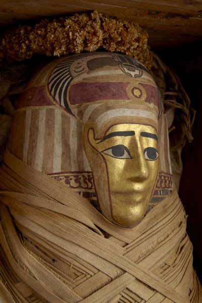 Ptolemäischer Sarg, Mumie mit vergoldeter Maske und Blumengirlanden von Roman Period Egyptian